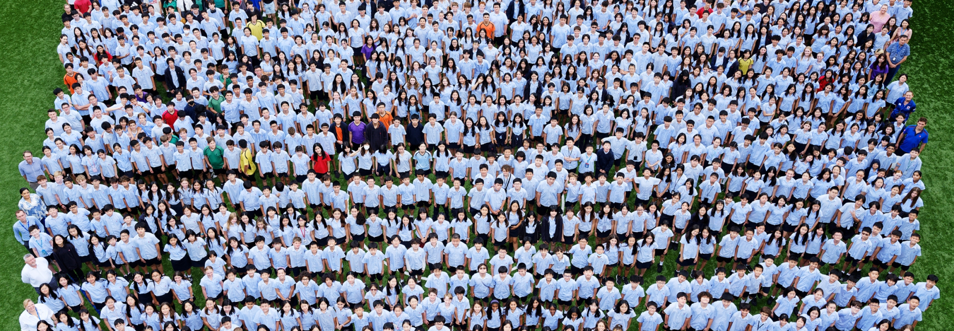 IS-Whole School-02